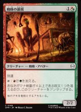 画像: 蜘蛛の顕現/Spider Manifestation