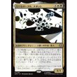 画像1: 生けるポータル、スポット/The Spot, Living Portal (1)