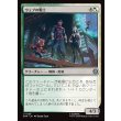 画像1: ウェブの戦士/Web-Warriors (1)