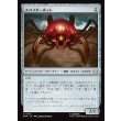 画像1: スパイダーボット/Spider-Bot (1)
