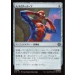 画像1: スパイダースーツ/Spider-Suit (1)