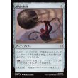 画像1: 破壊の鉄球/Steel Wrecking Ball (1)