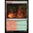 画像1: 野蛮な屋敷/Savage Mansion (1)