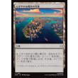 画像1: にぎやかな都市の光景/Vibrant Cityscape (1)