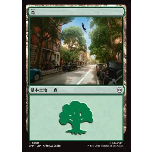 画像: 森/Forest