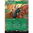 画像1: 放射線を浴びた蜘蛛/Radioactive Spider (1)