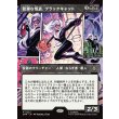 画像1: 狡猾な怪盗、ブラックキャット/Black Cat, Cunning Thief (1)