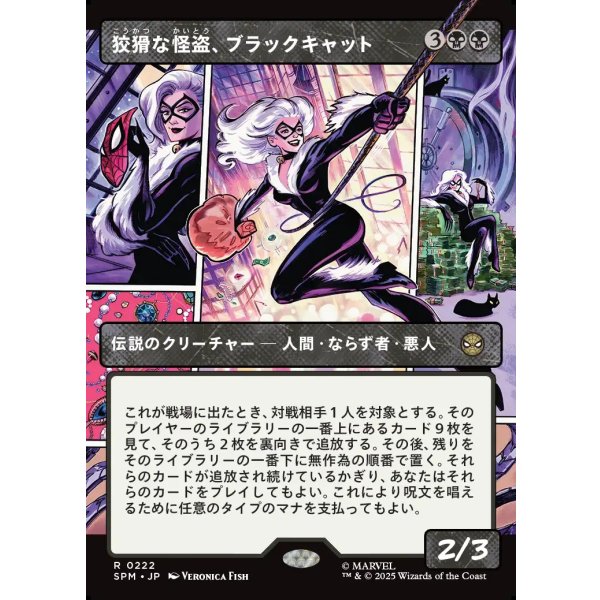 画像1: 狡猾な怪盗、ブラックキャット/Black Cat, Cunning Thief (1)