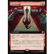 画像1: ゴブリンの影/Shadow of the Goblin (1)