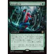 画像1: 意志を貫く力/Strength of Will (1)