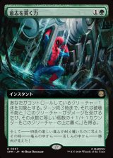 画像: 意志を貫く力/Strength of Will