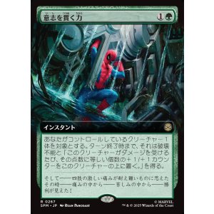 画像: 意志を貫く力/Strength of Will