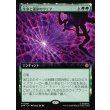 画像1: 生命と運命のウェブ/Web of Life and Destiny (1)
