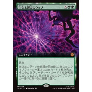 画像: 生命と運命のウェブ/Web of Life and Destiny