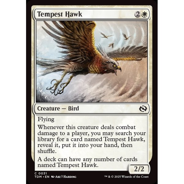 画像2: 大嵐の鷹/Tempest Hawk (2)