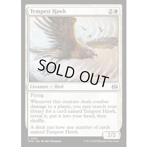 画像2: 大嵐の鷹/Tempest Hawk (2)