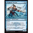 画像2: 展翅剣の門弟/Wingblade Disciple (2)