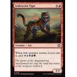 画像2: 玉虫色の虎/Iridescent Tiger (2)