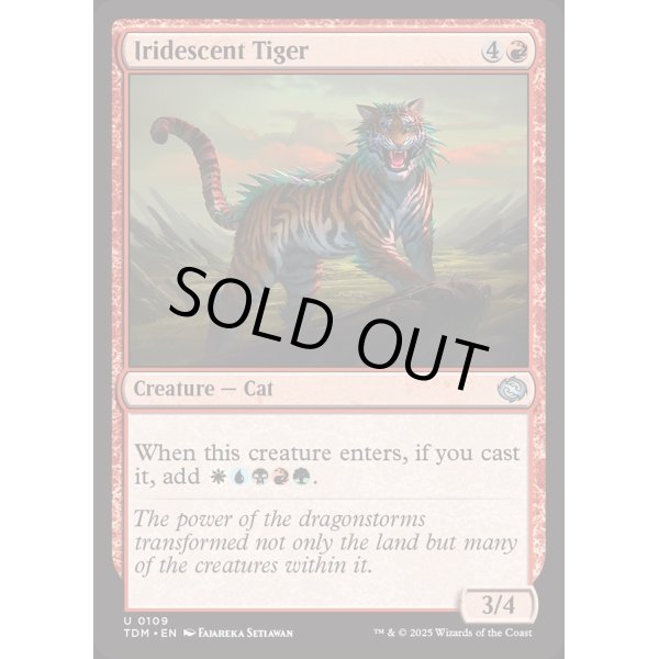 画像2: 玉虫色の虎/Iridescent Tiger (2)