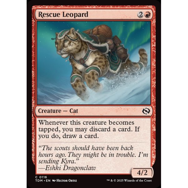 画像2: 救助豹/Rescue Leopard (2)