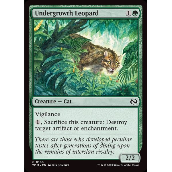 画像2: 下生えの豹/Undergrowth Leopard (2)