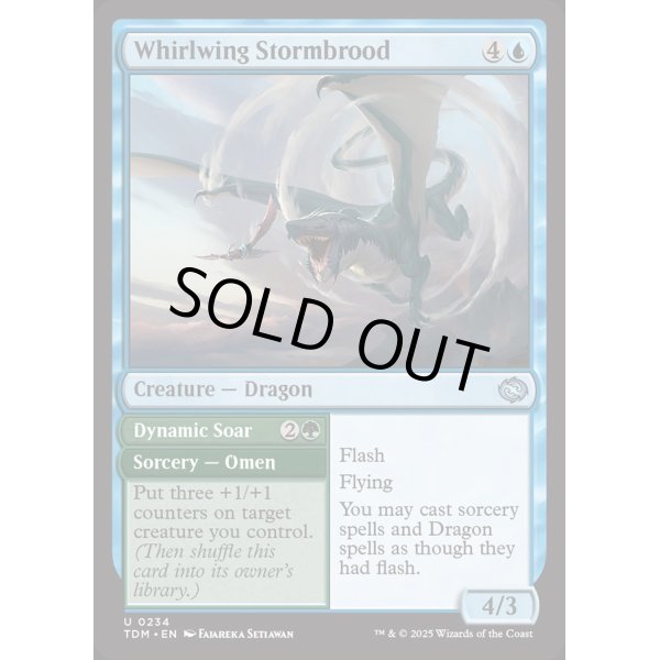 画像2: 竜巻翼の嵐孵り/Whirlwing Stormbrood (2)