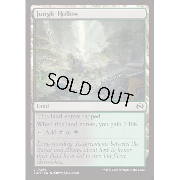 画像2: ジャングルのうろ穴/Jungle Hollow (2)