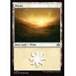 画像2: 平地/Plains (2)