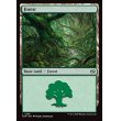 画像2: 森/Forest (2)