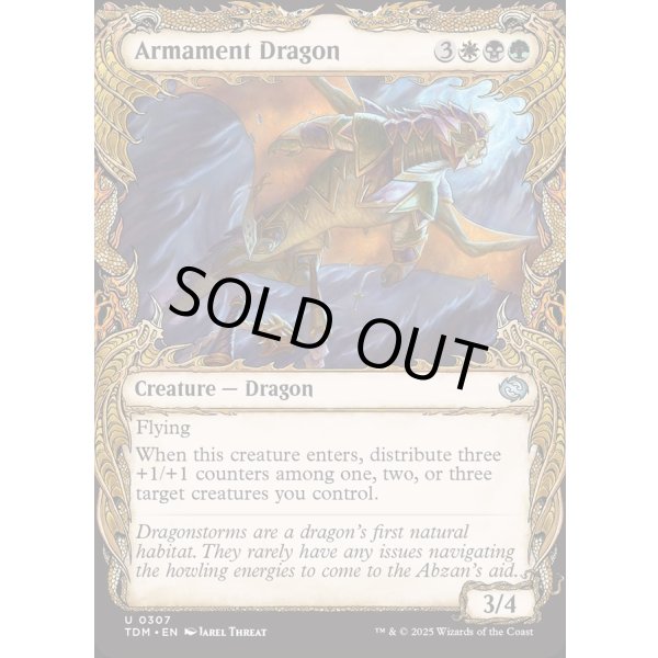 画像2: 武装ドラゴン/Armament Dragon (2)