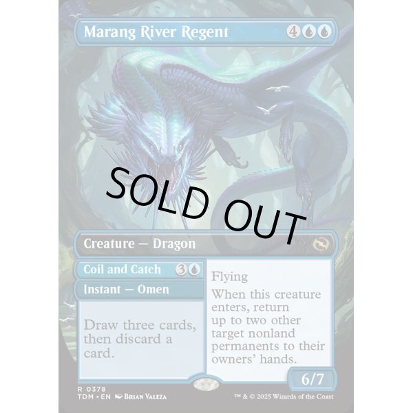 画像3: マラング川の執政/Marang River Regent (3)