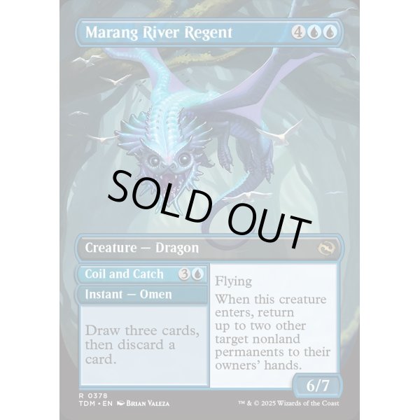画像4: マラング川の執政/Marang River Regent (4)