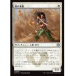 画像1: 嵐の末裔/Descendant of Storms (1)