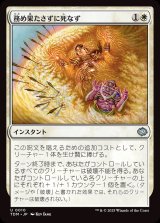 画像: 務め果たさずに死なず/Duty Beyond Death
