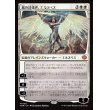 画像1: 嵐の討伐者、エルズペス/Elspeth, Storm Slayer (1)