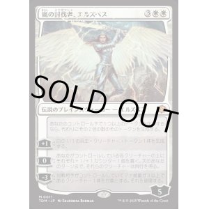画像: 嵐の討伐者、エルズペス/Elspeth, Storm Slayer