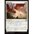 画像1: 骨性の吐息/Osseous Exhale (1)