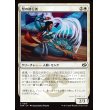 画像1: 型の修行者/Poised Practitioner (1)