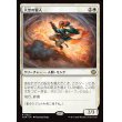 画像1: 大空の賢人/Sage of the Skies (1)