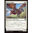 画像1: 夢見がちな空乗り/Starry-Eyed Skyrider (1)