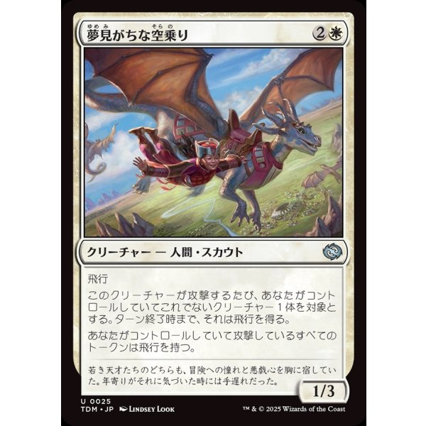 画像1: 夢見がちな空乗り/Starry-Eyed Skyrider (1)