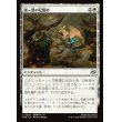 画像1: 嵐ヶ原の足留め/Stormplain Detainment (1)