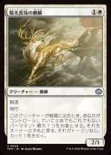 画像: 陽光真珠の麒麟/Sunpearl Kirin