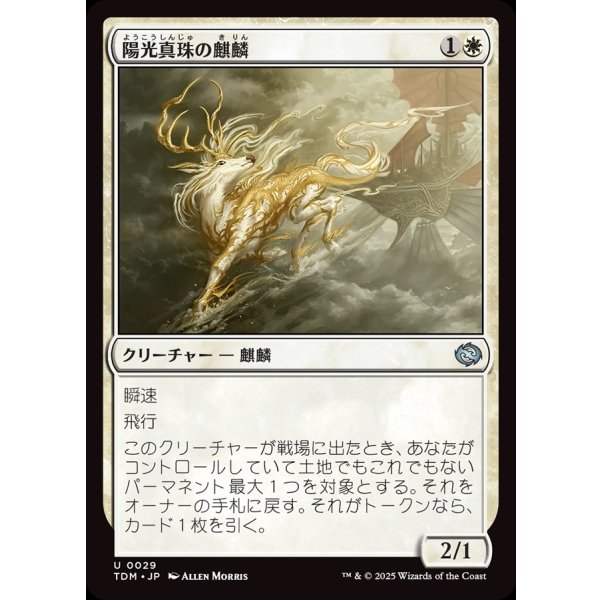 画像1: 陽光真珠の麒麟/Sunpearl Kirin (1)
