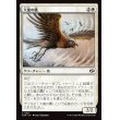 画像1: 大嵐の鷹/Tempest Hawk (1)