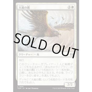 画像: 大嵐の鷹/Tempest Hawk