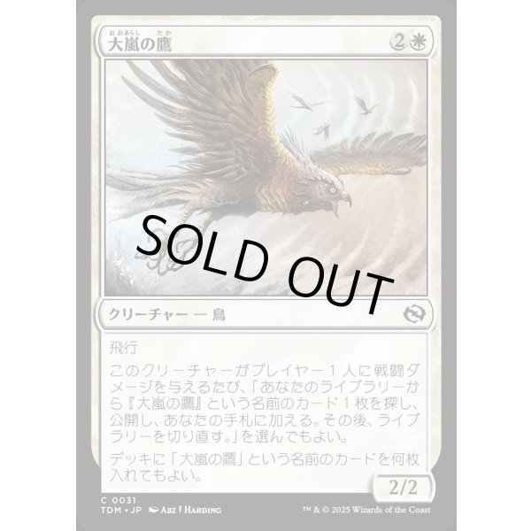 画像1: 大嵐の鷹/Tempest Hawk (1)