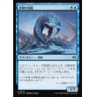 画像1: 氷峰の海蛇/Iceridge Serpent (1)