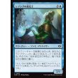 画像1: シブシグの鑑定士/Sibsig Appraiser (1)
