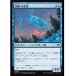 画像1: 雪解けの牡鹿/Snowmelt Stag (1)